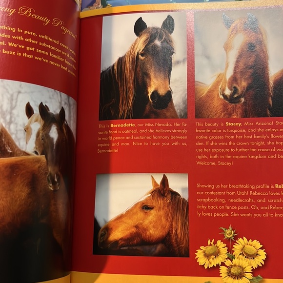 The Pioneer Woman Cooks Recipes from an Accidental Country Girl Hardcover Jacket - Picture 6 of 12